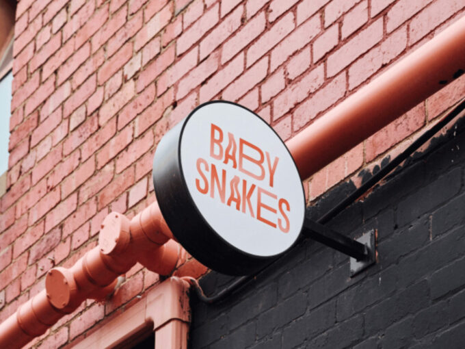 Baby Snakes Melbourne