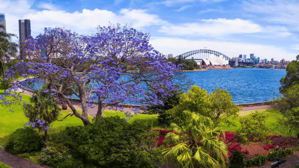 Visit Royal Botanical Garden Sydney