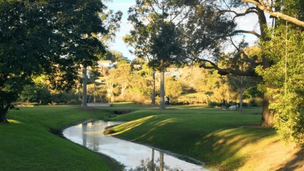 Sherwood Arboretum Brisbane